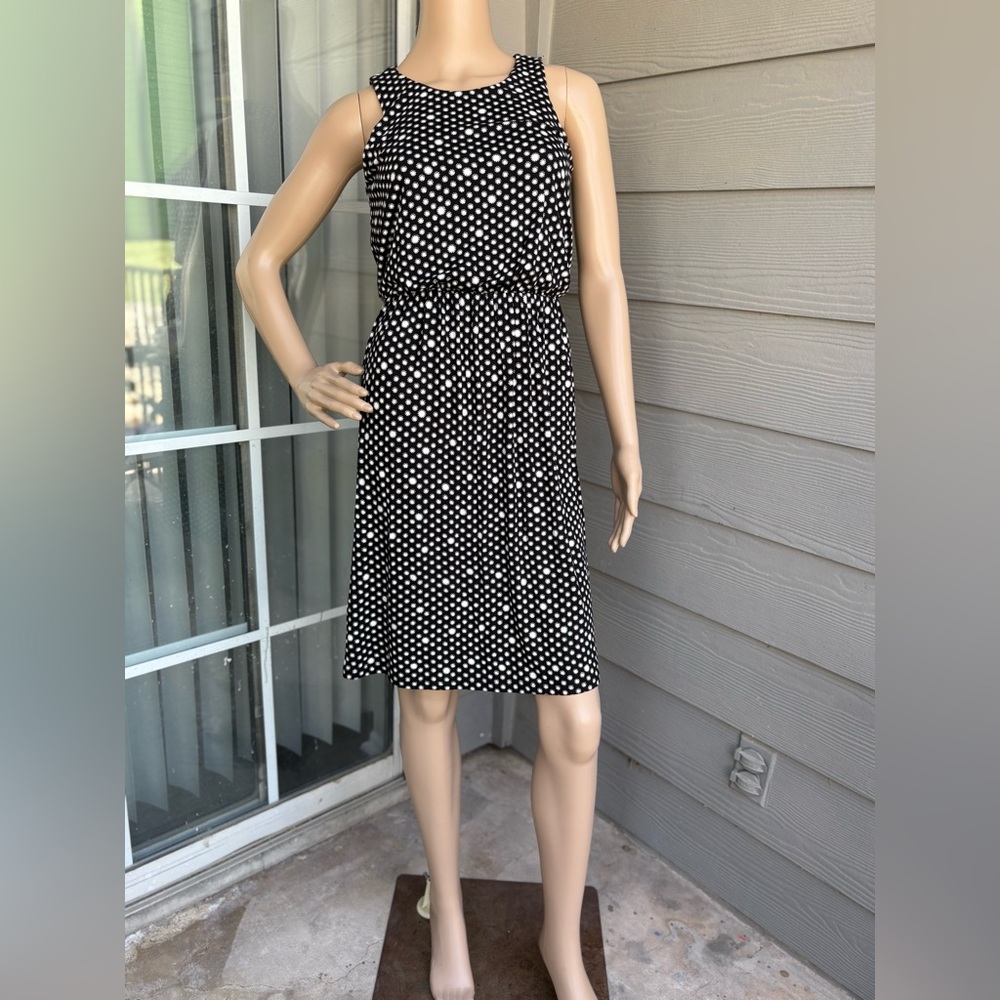 NWT Loft Petites Black and White Printed Dress